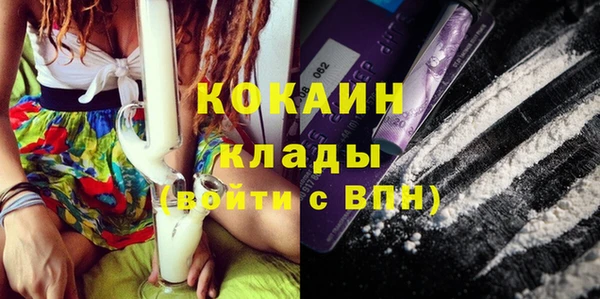 ALPHA PVP Гусев