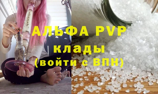 ешки Гусь-Хрустальный